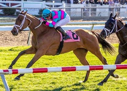 1-13-2018 Mom's On Strike with Adam Beschizza aboard wins the Marie Krantz Memorial Stakes at the Fair Grounds.