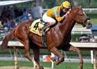 Faversham takes second-place in his Jan. 15 debut at Santa Anita Park