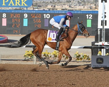 Blazing Navarone wins the 2018 Red Hedeman Mile Stakes