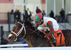 Firenze Fire wins Jerome Stakes at Aqueduct Racetrack