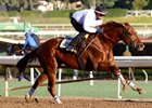 Giant Expectations works five furlongs Jan. 12 in a bullet :58 4/5 at Santa Anita Park