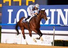 Heavy Metal takes the Al Maktoum Challenge Round 1 by 4 1/2 lengths over Thunder Snow at Meydan
