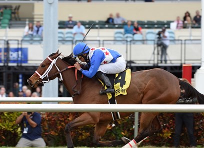 Starship Jubilee wins the 2018 Sunshine Millions Filly and Mare Turf