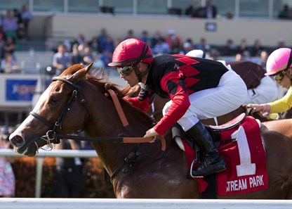 Girls Know Best and Javier Castellano winning the Ladies’ Turf Sprint at Gulfstream Park on January 27, 2018.