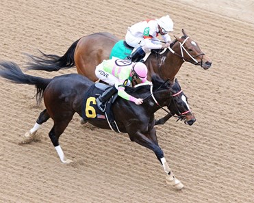Amy's Challenge wins the 2018 Dixie Belle