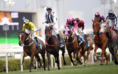 Danny Shum-trained Seasons Bloom (No. 6), with Joao Moreira on board, edges Fifty Fifty (No. 11) to win the G1 Stewards’ Cup (1600m), the first leg of Triple Crown, at Sha Tin Racecourse