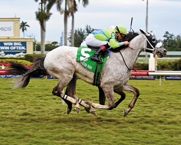 Galleon Mast, Sunshine Million Turf Stakes; Gulfstream Park; January 20 2018