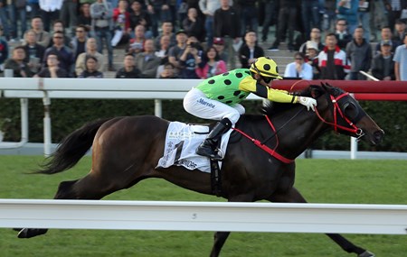 Nothingilikemore wins the 2018 Hong Kong Classic Mile