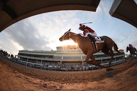 Gun Runner wins the 2018 Pegasus