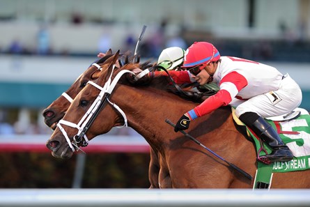 Shining Copper wins the 2018 Ft. Lauderdale Stakes