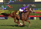 Rainbow Heir closes out his racing career with a victory in the Gulfstream Park Turf Sprint