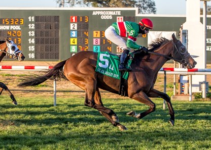 1/13/2018. - Tower of Texas captures the Col. E. R. Bradley Stakes at Fair Grounds.