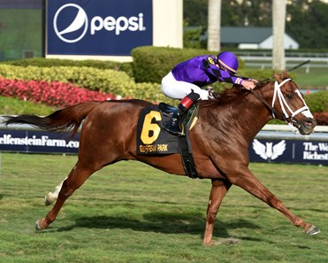 Rainbow Heir; Irad Ortiz, Gulfstream Park Turf Sprint Stakes; Gulfstream Park; January 27 2018