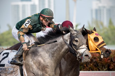 Jordan's Henny wins The Hurricane Bertie Stakes at Gulfstream on January 27th, 2018, jockey Tyler Gaffalione up