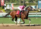 Captain Scotty wins an optional-claiming allowance race Jan. 26 at Santa Anita