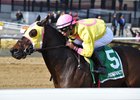 Control Group takes the Alex M. Robb Stakes by four lengths at Aqueduct