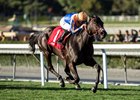 Coniah wins the Las Cienegas Stakes at Santa Anita Park
