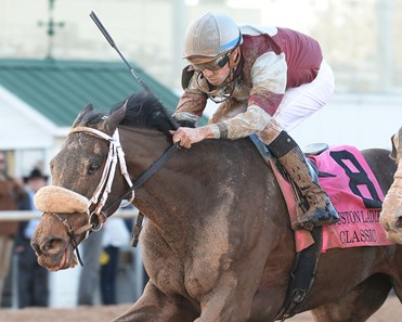 Tiger Moth wins the 2018 Houston Ladies Classic Stakes (G3)