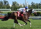 Code Warrior wins the Abundantia Stakes at Gulfstream Park Jan. 1