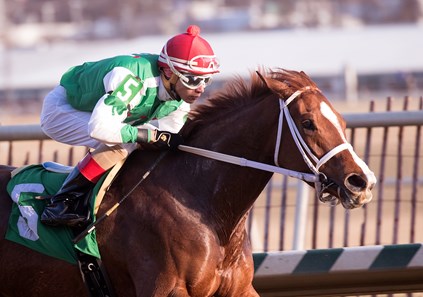 Ms Locust Point wins the 2018 What A Summer Stakes