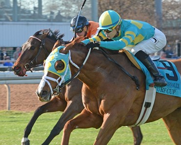 Bigger Picture wins the 2018 John B. Connally Turf Cup (G3T)