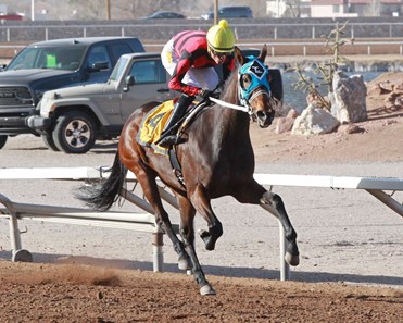 Hennessy Express wins the 2018 Enchantress Stakes