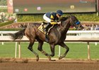 Ax Man wins a conditional maiden special weight race at Santa Anita Jan. 1