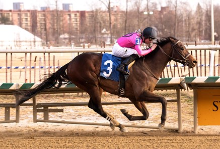 Still Having Fun wins the 2018 Frank Whiteley, Jr Stakes