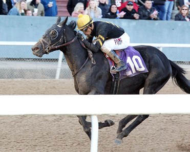 Sonneteer wins the 2018 Fifth Season Stakes