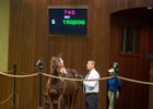 Hip 745 tops the final day's session, bringing $150,000 from agent Patrice Miller