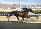 Divine Miss Grey wins the 2018 Interborough Stakes