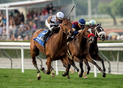 Madame Stripes wins the 2018 Megahertz Stakes (G3T)