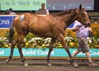 Lot 1001, a filly by Not a Single Doubt, tops Book 2 of the 2018 Magic Millions Gold Coast yearling sale