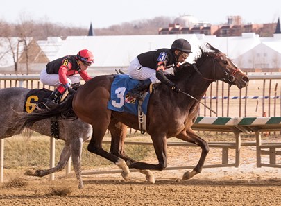 Limited View wins the 2018 Marshua Stakes
