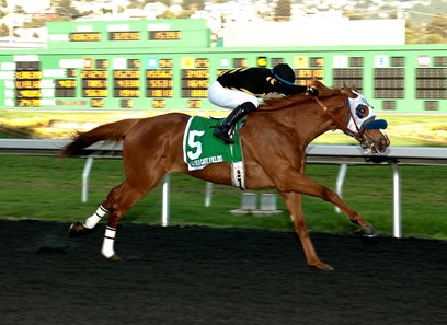 Choo Choo with jockey Juan Hernandez win the 103rd Running California Derby $100,000 Guaranteed with a time of 1:44.50.