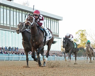 Farrell wins the 2018 Pippin Stakes