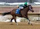 Grade 1-placed Favorite Tale wins the Jan. 8 Dave's Friend Stakes at Laurel Park