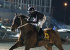 Wellabled gallops to the wire, finishing seven lengths in front in the Forego Stakes at Turfway Park
