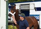 Seeking the Soul arrives at Gulfstream Park ahead of the Pegasus World Cup