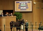 Stradivarius becomes the top-seller deep into opening day of the Keeneland January sale