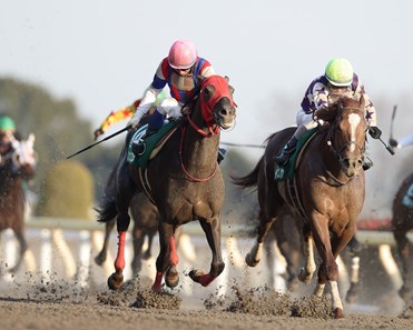 Nonkono Yume (JPN) wins the 2018 Negishi Stakes