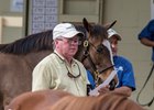 Francis Vanlangendonck is anticipating a strong OBS winter mixed sale