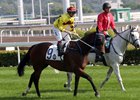Southern Legend is entered in the Kranji Mile in Singapore