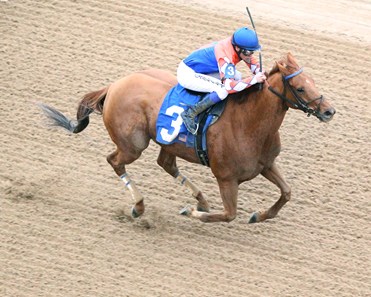 Wilbo wins the 2018 King Cotton Stakes