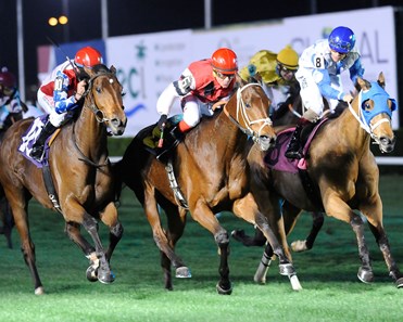 Bonjour Baby wins the 2018 Houston Turf Stakes
