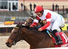 Battle Station wins the Rego Park Stakes by a neck at Aqueduct