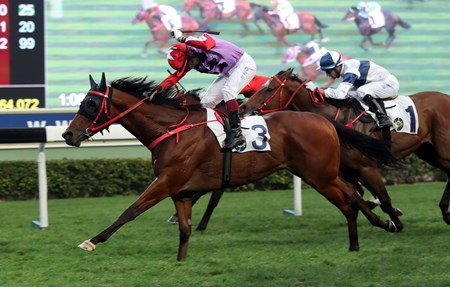 Olivier Doleuze punches the air as John Size-trained Perpetual Joyance swoops to victory in the Class 2 Po Yan Handicap.