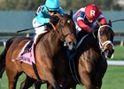 Elysea's World (outside) wins the Suwannee River Stakes over Dream Awhile