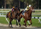 Flameaway (inside) battles with Catholic Boy for a half-length victory in the Sam F. Davis