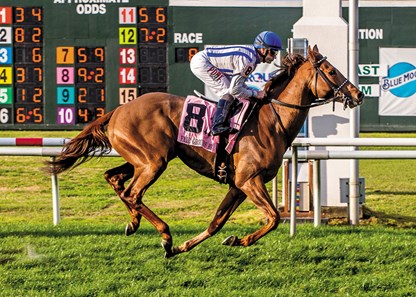 2/18/2018. - Joe Bravo aboard Synchrony wins the Grade III Fair Grounds Handicap at Fair Grounds. Hodges Photography / Lou Hodges, Jr.